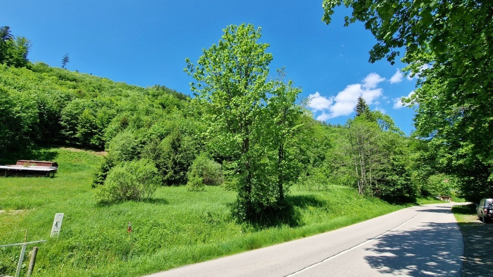 Rekreačný pozemok pri Hoteli Bystrá Nízke Tatry