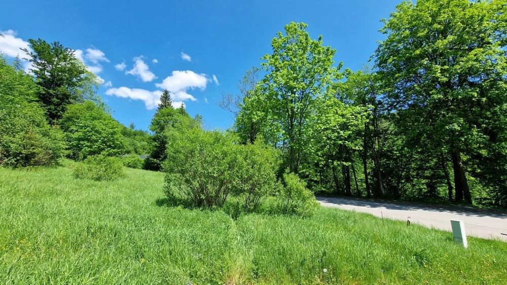 Rekreačný pozemok pri Hoteli Bystrá Nízke Tatry