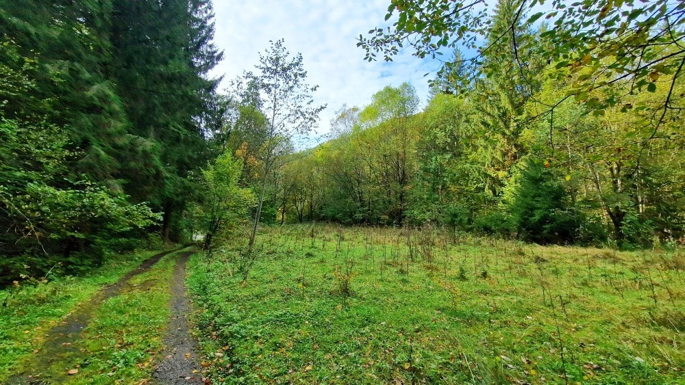 Pozemok pri vchode do jaskyne Bystrá Nízke Tatry
