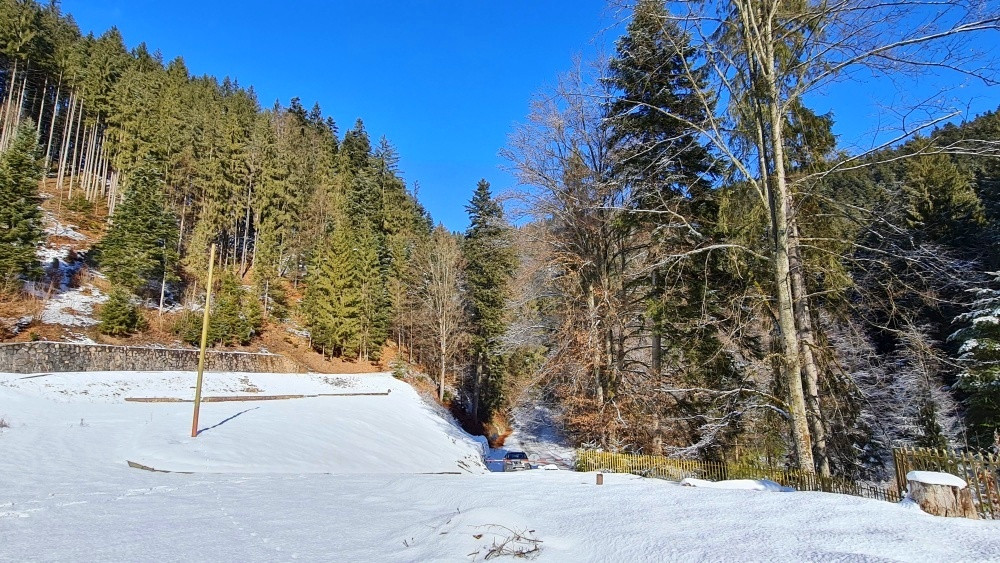 Investičná príležitosť v srdci prírody: Pozemok v Kamenistej