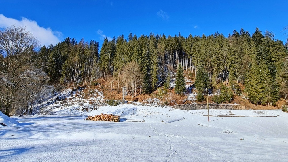 Investičná príležitosť v srdci prírody: Pozemok v Kamenistej