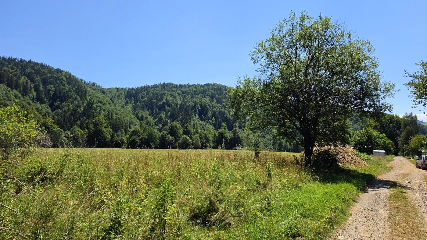 Stavebný pozemok v lese – Mýto pod Ďumbierom Nízke Tatry