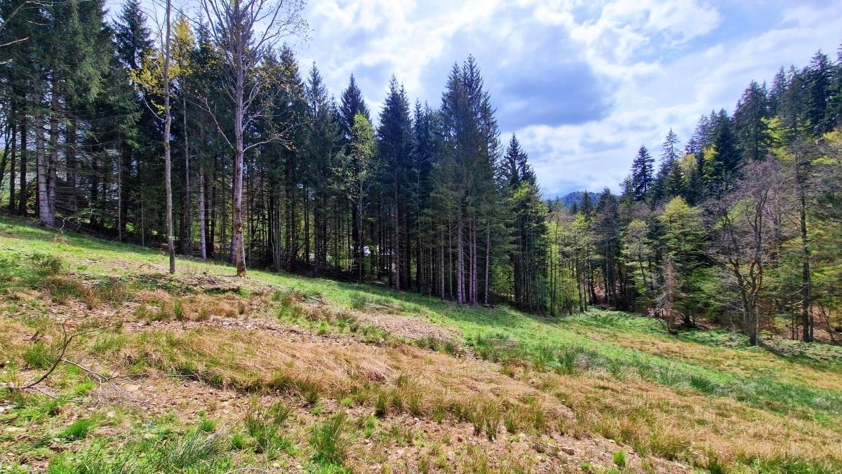 Exkluzívne stavebné pozemky Tále – Nízke Tatry