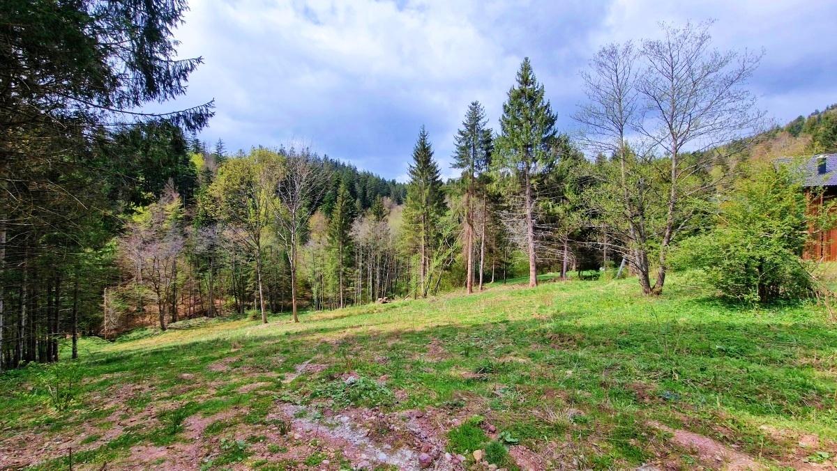 Exkluzívne stavebné pozemky Tále – Nízke Tatry