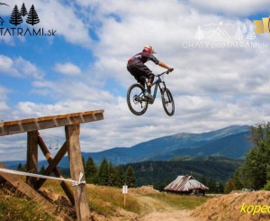 Útulná 4i chata v lesnom prostredí Mýto p. Ďumbierom Nízke Tatry