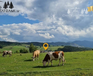 2i apartmán v rekreačnom komplexe s bazénom Nízke Tatry