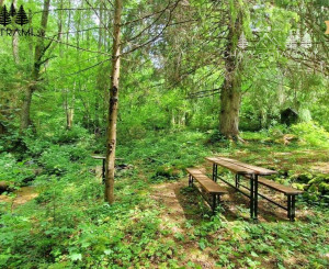 4i chata v lese pri potôčiku Krpáčovo Nízke Tatry