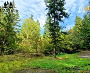 Pozemok pri vchode do jaskyne Bystrá Nízke Tatry