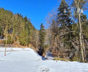 Investičná príležitosť v srdci prírody: Pozemok v Kamenistej