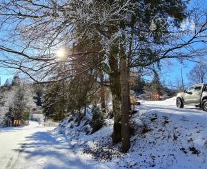 Investičná príležitosť v srdci prírody: Pozemok v Kamenistej