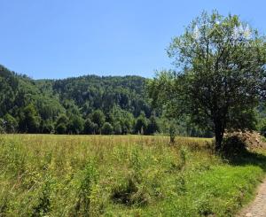 Stavebný pozemok v lese – Mýto pod Ďumbierom Nízke Tatry
