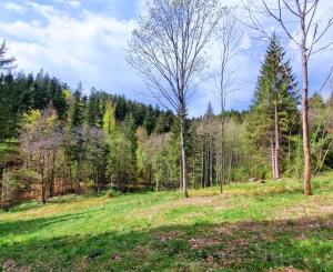 Exkluzívne stavebné pozemky Tále – Nízke Tatry