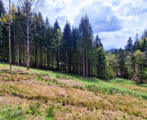 Exkluzívne stavebné pozemky Tále – Nízke Tatry
