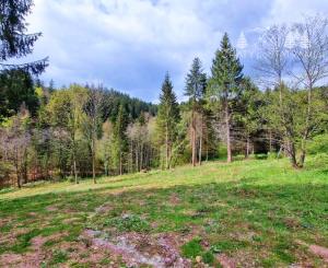 Exkluzívne stavebné pozemky Tále – Nízke Tatry