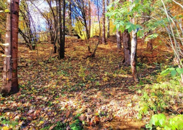 Útulná chata polosamota Tále Nízke Tatry