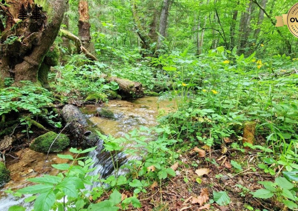 4i chata v lese pri potôčiku Krpáčovo Nízke Tatry