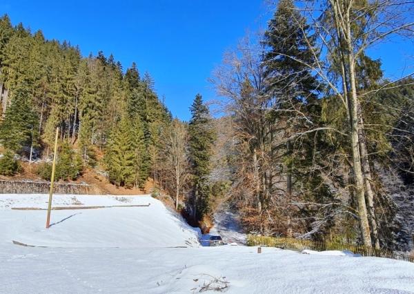 Investičná príležitosť v srdci prírody: Pozemok v Kamenistej