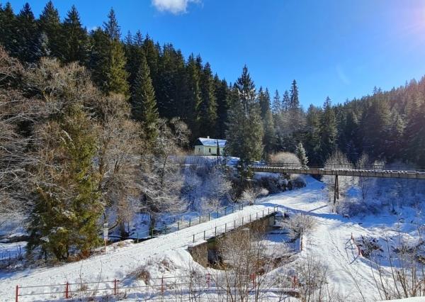 Investičná príležitosť v srdci prírody: Pozemok v Kamenistej