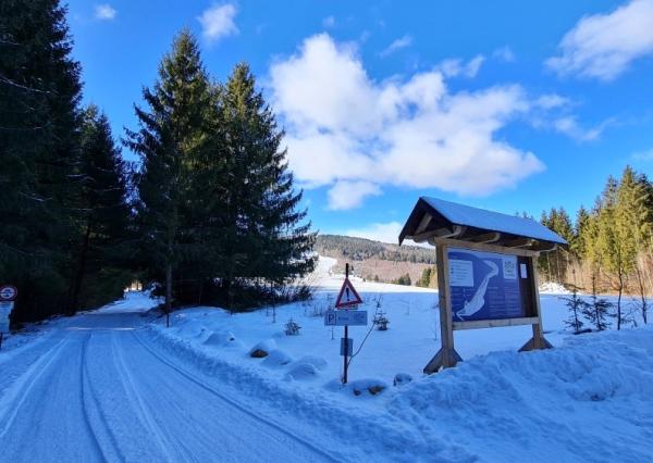 Investičná príležitosť v srdci prírody: Pozemok v Kamenistej