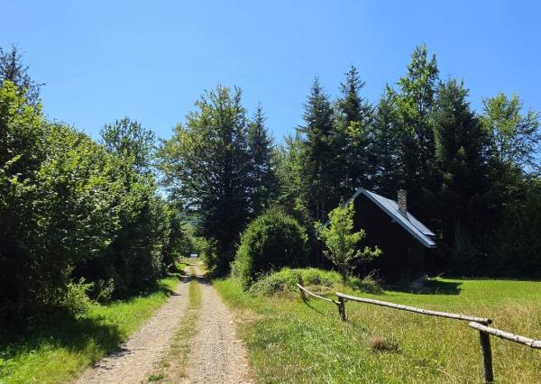 Stavebný pozemok v lese – Mýto pod Ďumbierom Nízke Tatry