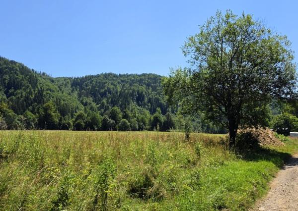 Stavebný pozemok v lese – Mýto pod Ďumbierom Nízke Tatry