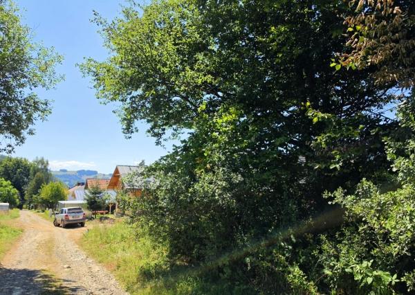 Stavebný pozemok v lese – Mýto pod Ďumbierom Nízke Tatry