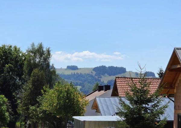 Stavebný pozemok v lese – Mýto pod Ďumbierom Nízke Tatry