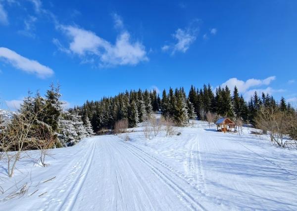 Útulná 4i chalupa pri potoku – Jarabá, Nízke Tatry