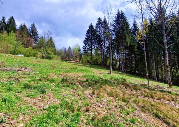 Exkluzívne stavebné pozemky Tále – Nízke Tatry