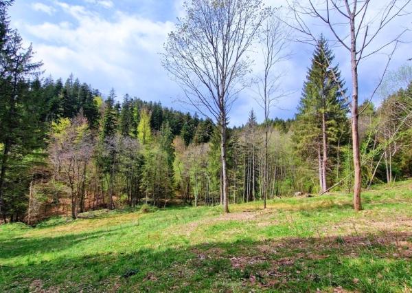 Exkluzívne stavebné pozemky Tále – Nízke Tatry
