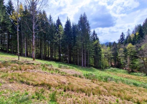 Exkluzívne stavebné pozemky Tále – Nízke Tatry