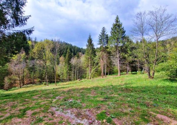 Exkluzívne stavebné pozemky Tále – Nízke Tatry