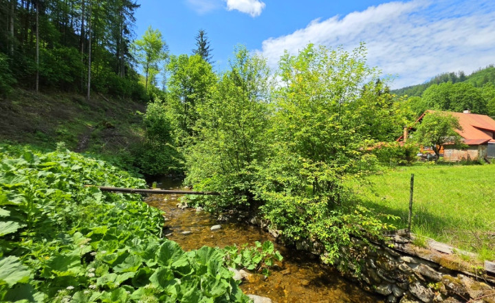 Stavebný pozemok s IS pri potoku Bystrá Nízke Tatry - fotografia 3