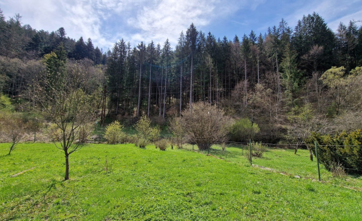 Stavebný pozemok s IS pri potoku Bystrá Nízke Tatry - fotografia 5