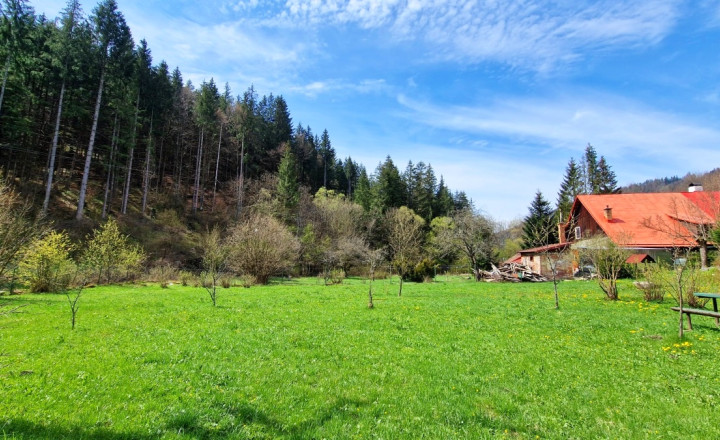 Stavebný pozemok s IS pri potoku Bystrá Nízke Tatry - fotografia 4