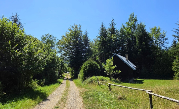 Stavebný pozemok v lese – Mýto pod Ďumbierom Nízke Tatry - fotografia 3