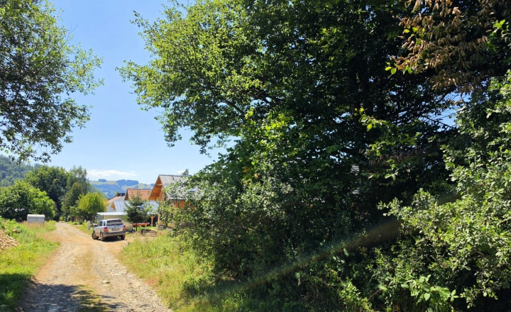 Stavebný pozemok v lese – Mýto pod Ďumbierom Nízke Tatry - fotografia 8