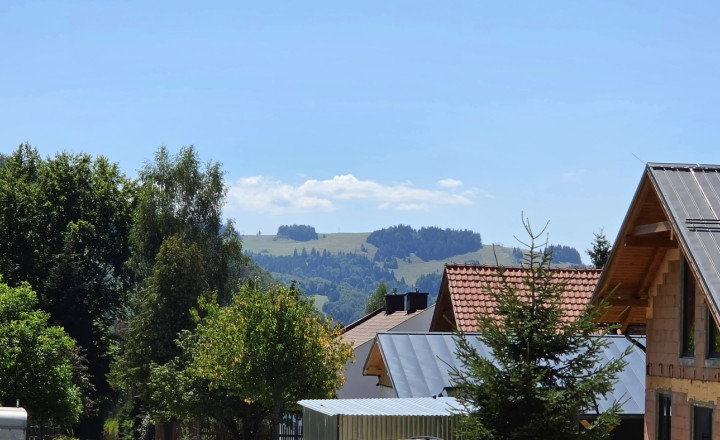 Stavebný pozemok v lese – Mýto pod Ďumbierom Nízke Tatry - fotografia 9