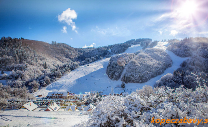 Stavebný pozemok v lese – Mýto pod Ďumbierom Nízke Tatry - fotografia 11
