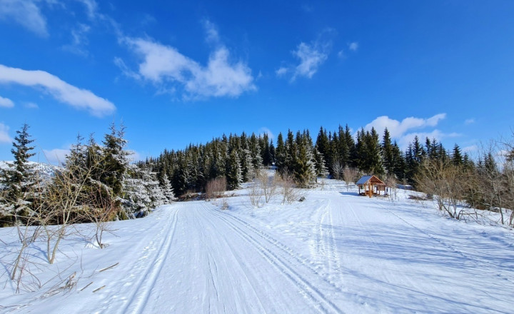 Útulná 4i chalupa pri potoku – Jarabá, Nízke Tatry - fotografia 34