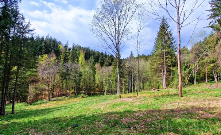 Exkluzívne stavebné pozemky Tále – Nízke Tatry - fotografia 5